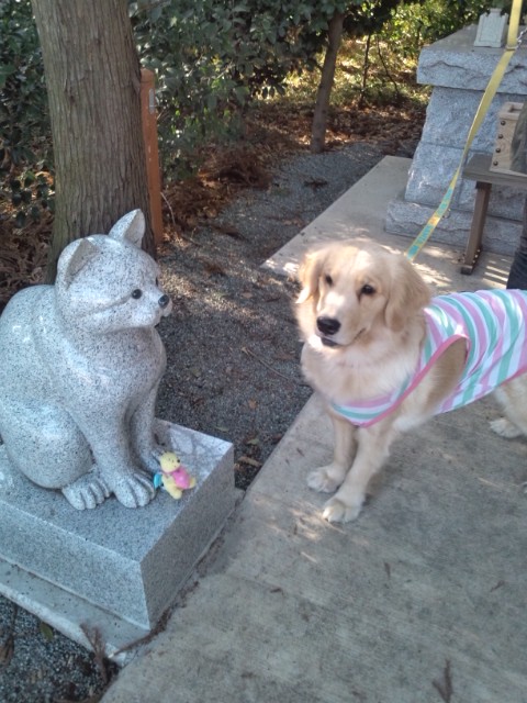 犬猫神社