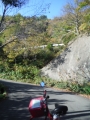 DSCF5349.jpg