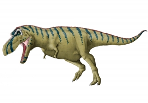 Tarbosaurus 3