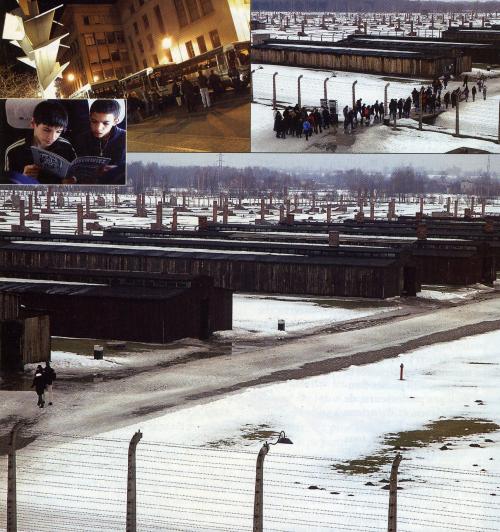 Auschwitz 2