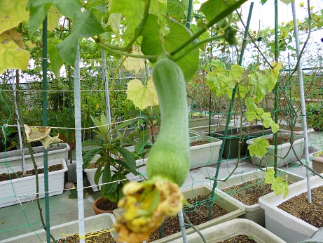 g2509122.jpg