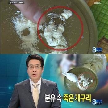 2013年8月21日、韓国で粉ミルクの中から干からびたカエルの死体が見つかった。