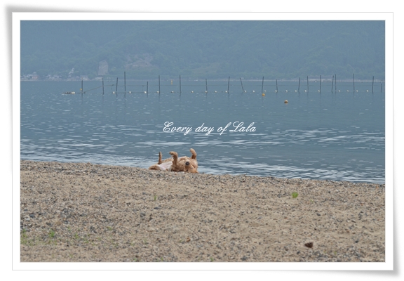 今年初の琵琶湖にきました！201306
