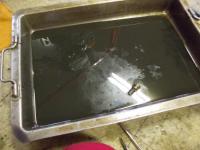 DSCN0880.jpg
