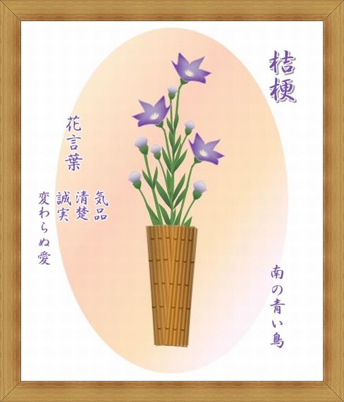 桔梗竹かご・フレーム2013・8・3