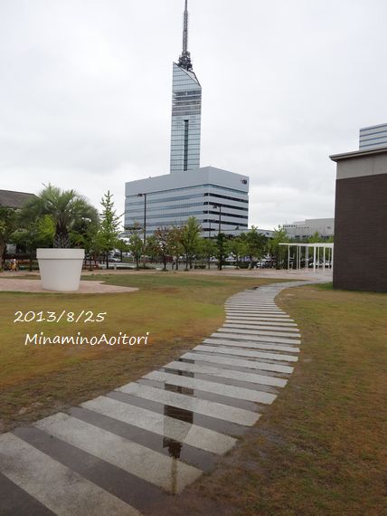 水に写った福岡タワー2013･8･25 025