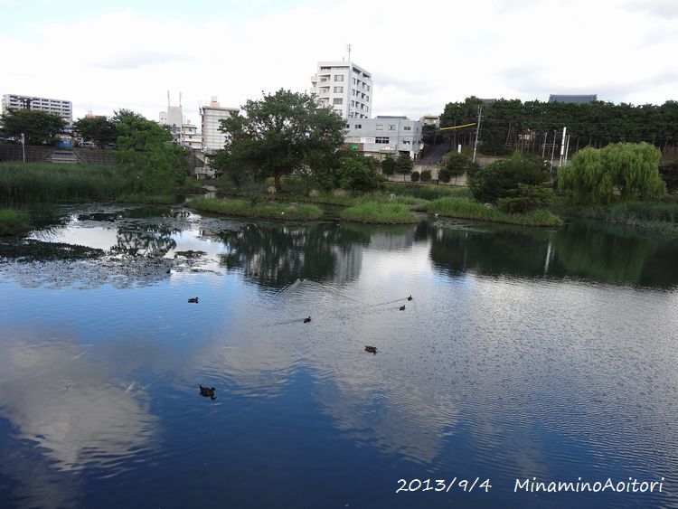 池に映る空2013･9･4 023
