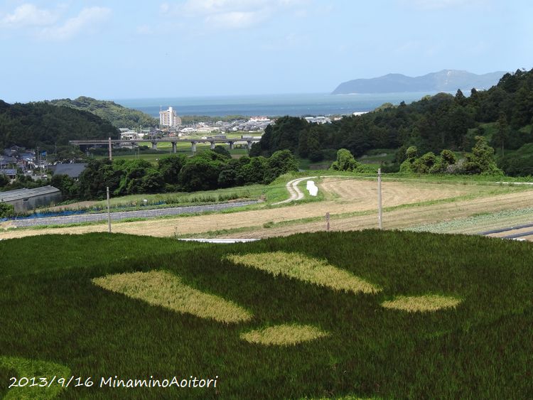 赤米アートと海2013･9･16 035