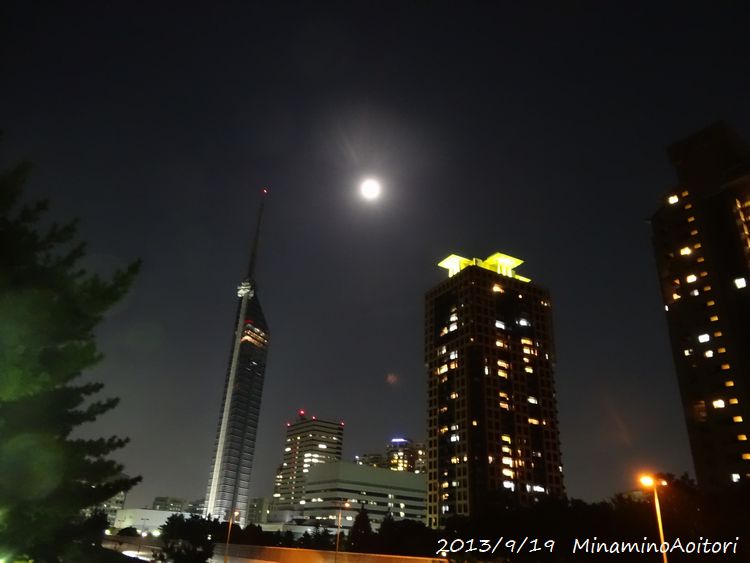 横・中秋の名月(福岡タワー)2013・9・19 046