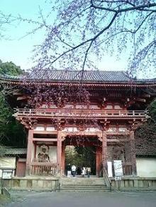 京都レポ⑬～醍醐寺