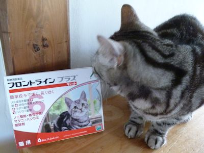 今年も頼みます