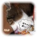 _三助