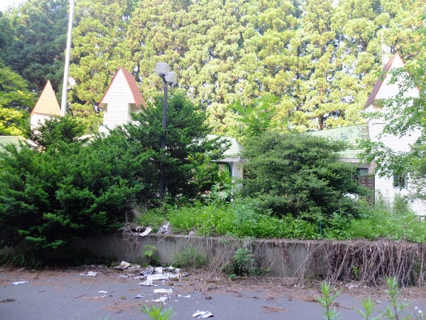 DSCF432て8 (600x450)