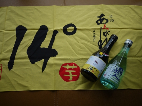 P1170093.jpg