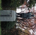 2013-11-25-2.jpg