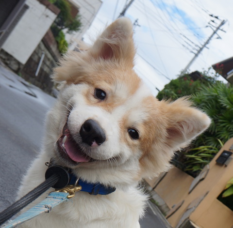 DSC05692.jpg