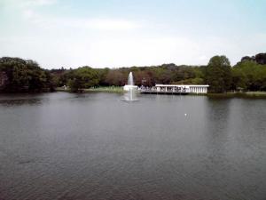 長居公園 植物園 2013（一文字橋から見る噴水）
