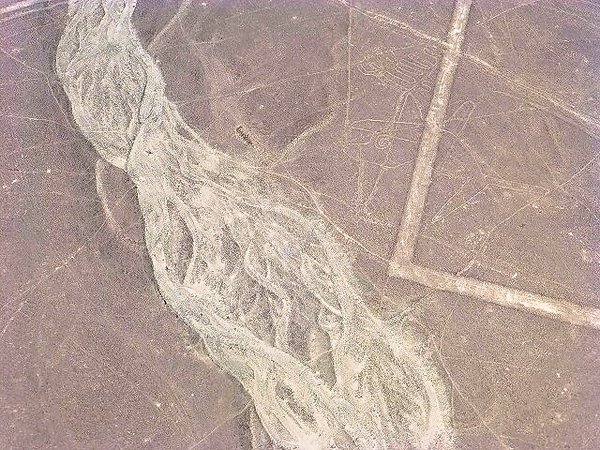 P1030341クジラ