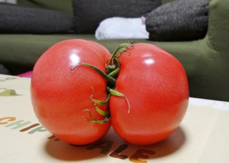 トマトで元気！