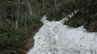 残雪の木道２