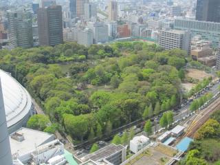南西に見える小石川後楽園。左端には東京ドームがわずかに見える。